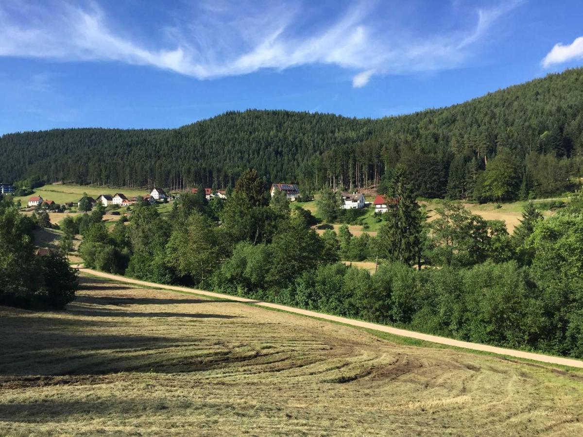 Ferienwohnung Herbert Best Baiersbronn Dış mekan fotoğraf