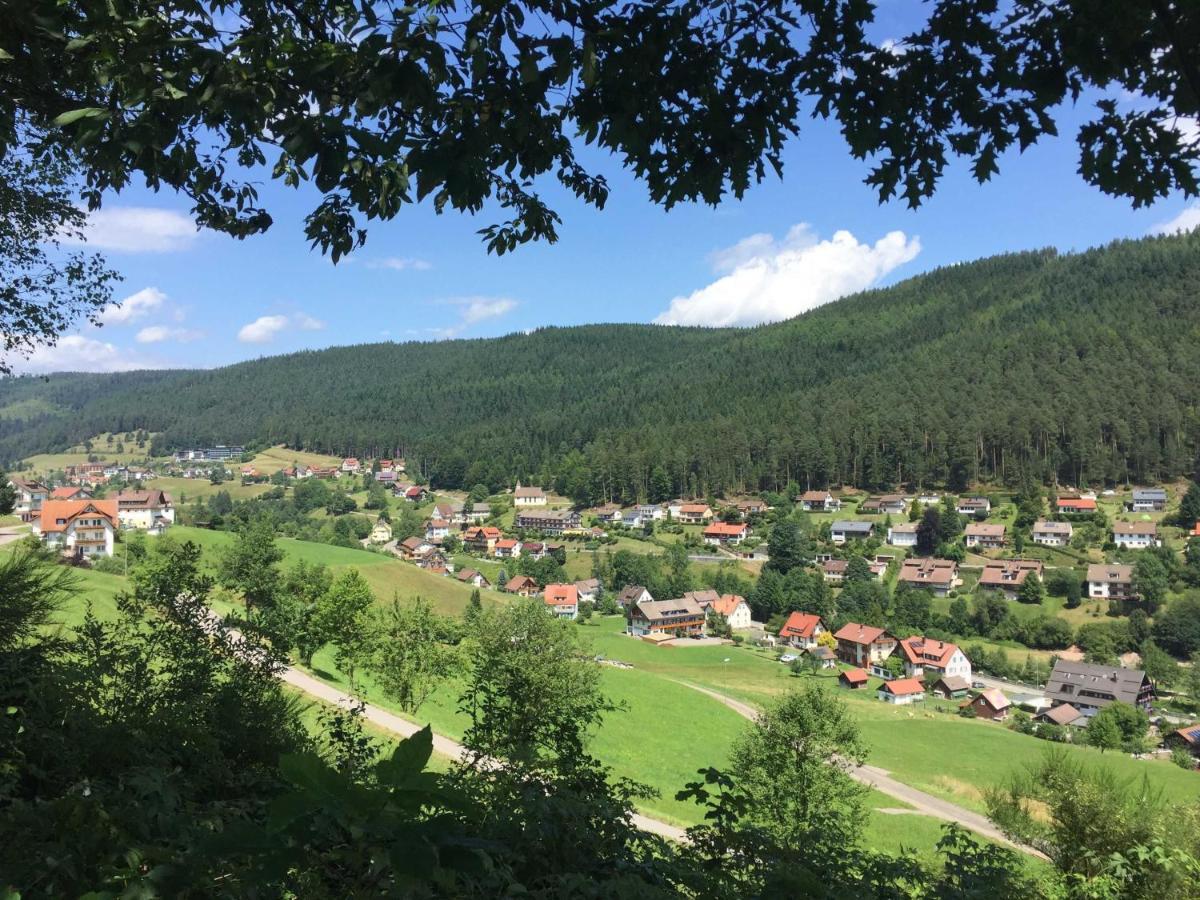 Ferienwohnung Herbert Best Baiersbronn Dış mekan fotoğraf