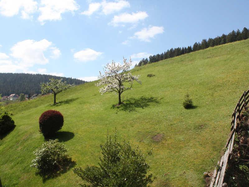Ferienwohnung Herbert Best Baiersbronn Dış mekan fotoğraf